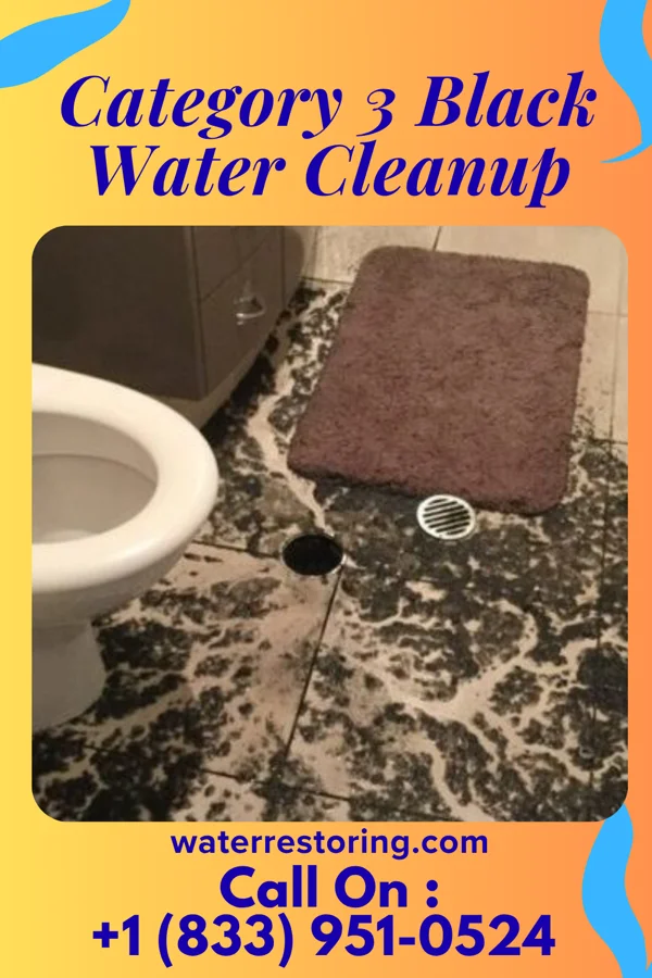 Category 3 Black Water Cleanup in Caldwell, OH