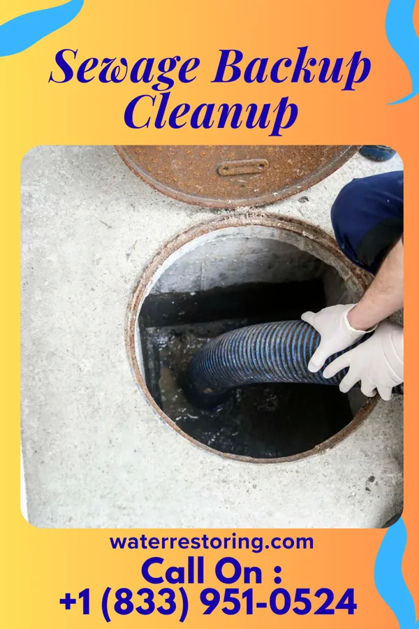 Sewage Backup Cleanup in Caldwell, OH